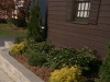 Foundation Planting and Pavers